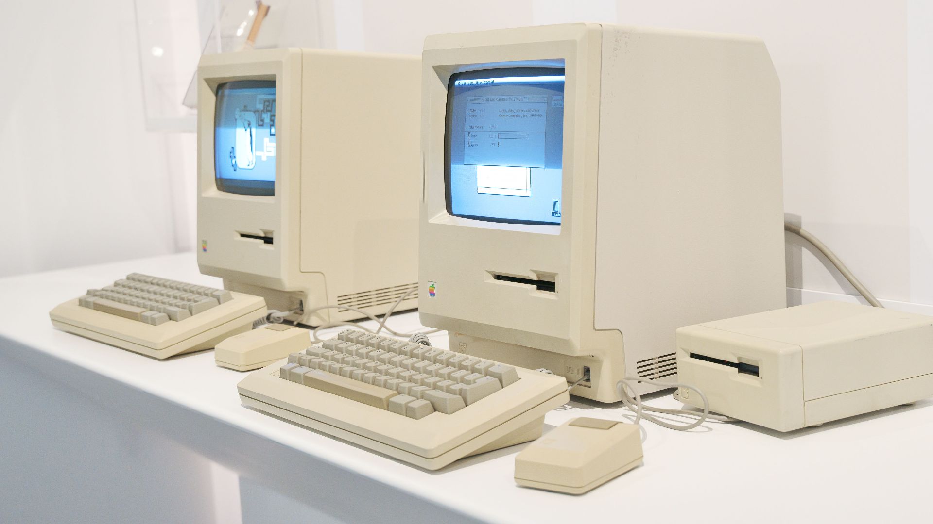 17883688004a02404a0559998129d1081fa82ff7897236d11a.jpeg