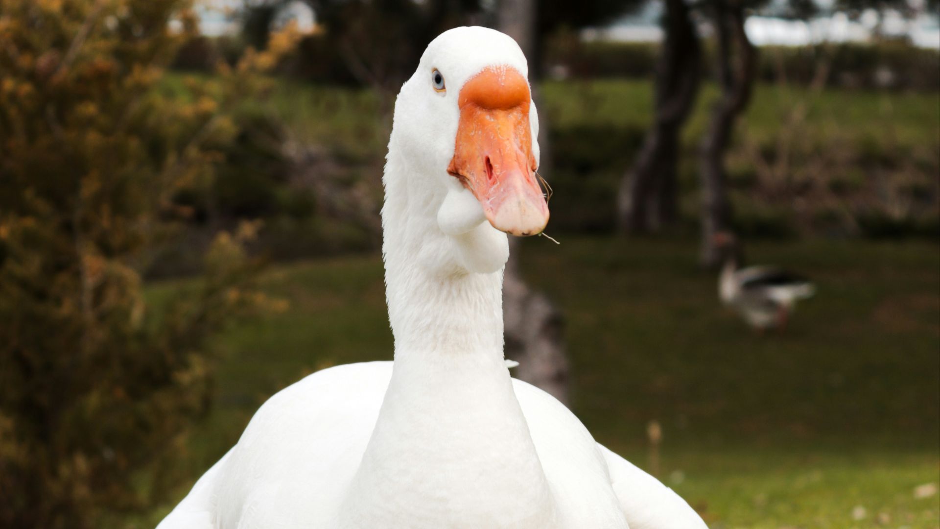 1790192463363c0e254444092579489fd8c458c671898b1409.jpg