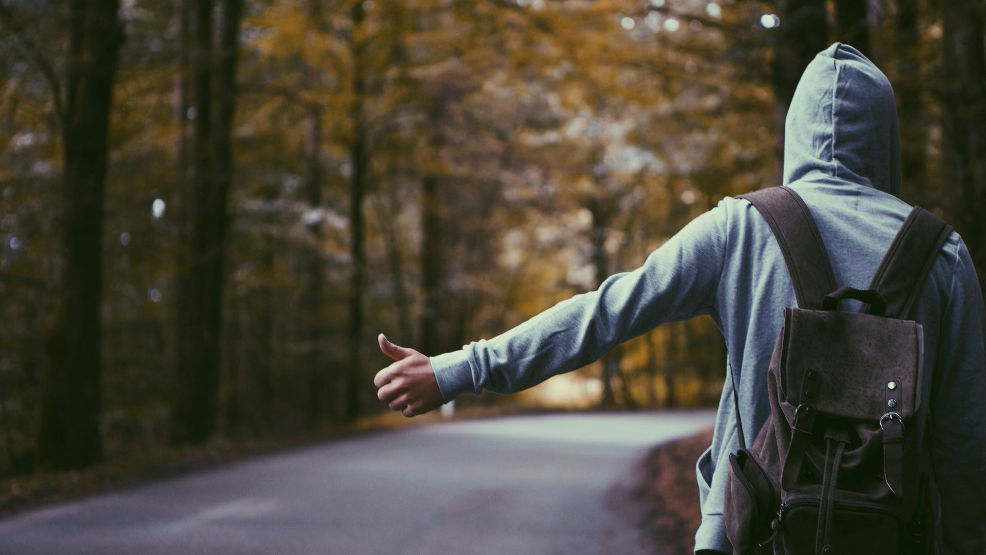 1790287301b9741f401bc1d869b331bb6cd5cac9488a7ca6f6.jpg