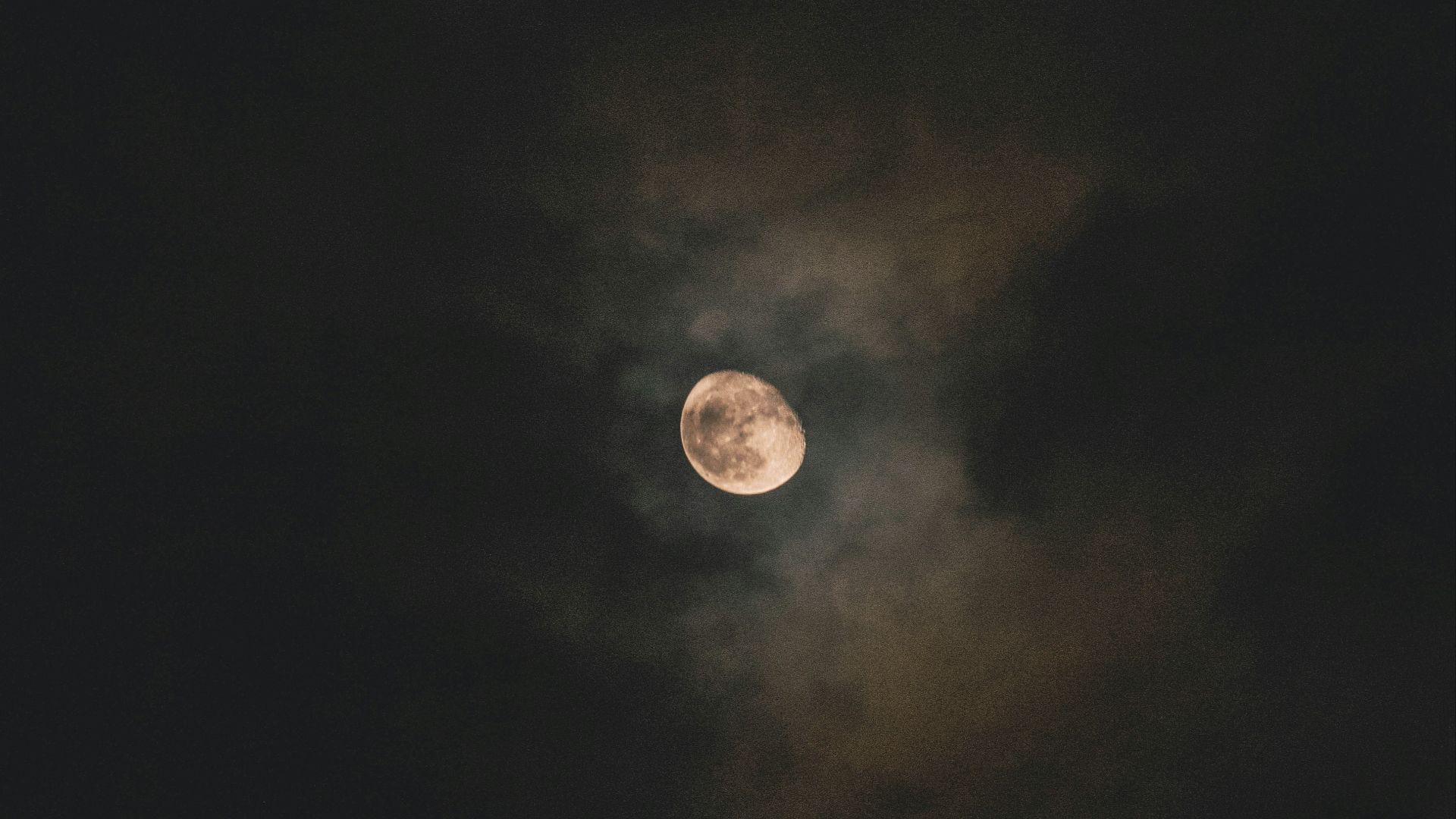 179036218911c6c604d455ca75946f7ff7fe5c41ec17ea8f68.jpg