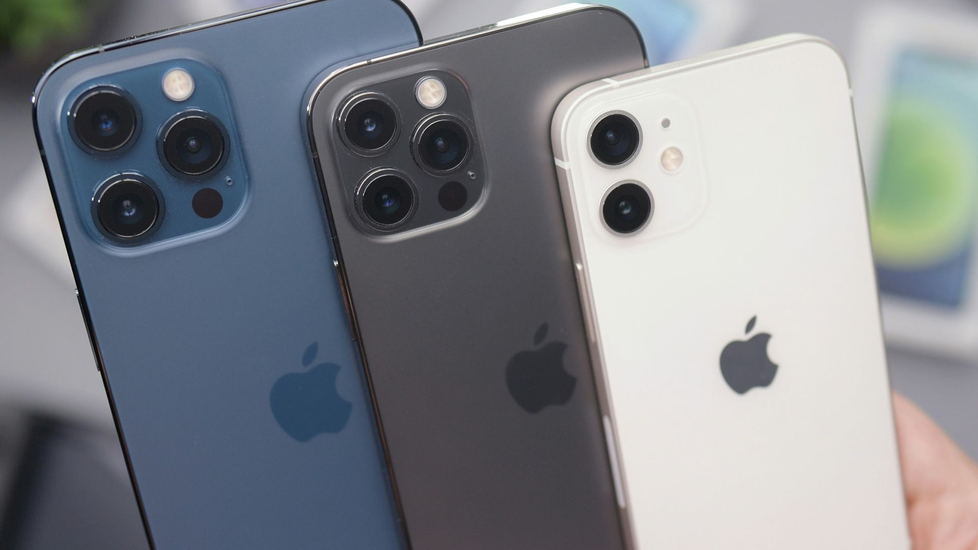 white and blue iphone cases