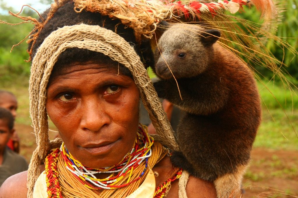 Baby_tree_kangaroo_on_the_chiefs_wifes_shoulder_-Papua_New_Guinea-17Oct2008-1024x683.jpg