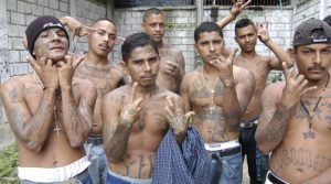 Mara-Salvatrucha-Gang-El-Salvador-300x167.jpg
