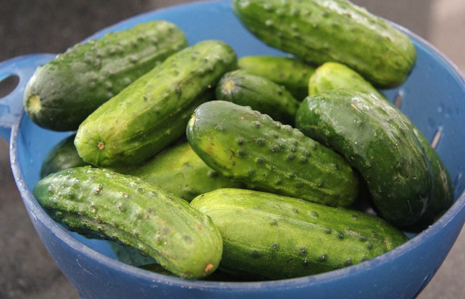 sun-pickles-16-1400x900-1538597253696.jpg