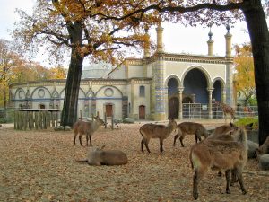1280px-Giraffenhaus_Zoo_Berlin_2-300x225.jpg