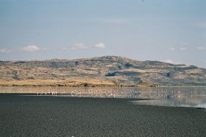 1280px-NatronSouthSide-300x200.jpg