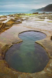 Figure_8_Pool_Royal_National_Park-200x300.jpg