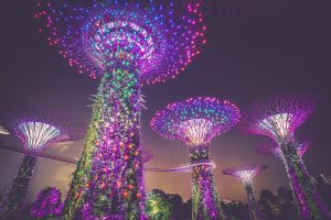 artificial-trees-945387-300x200.jpg