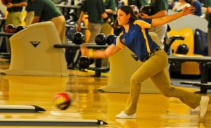 bowling_bowler_pins_ball_alley_sport_fun_competition-892903-1548385172832-300x182.jpg