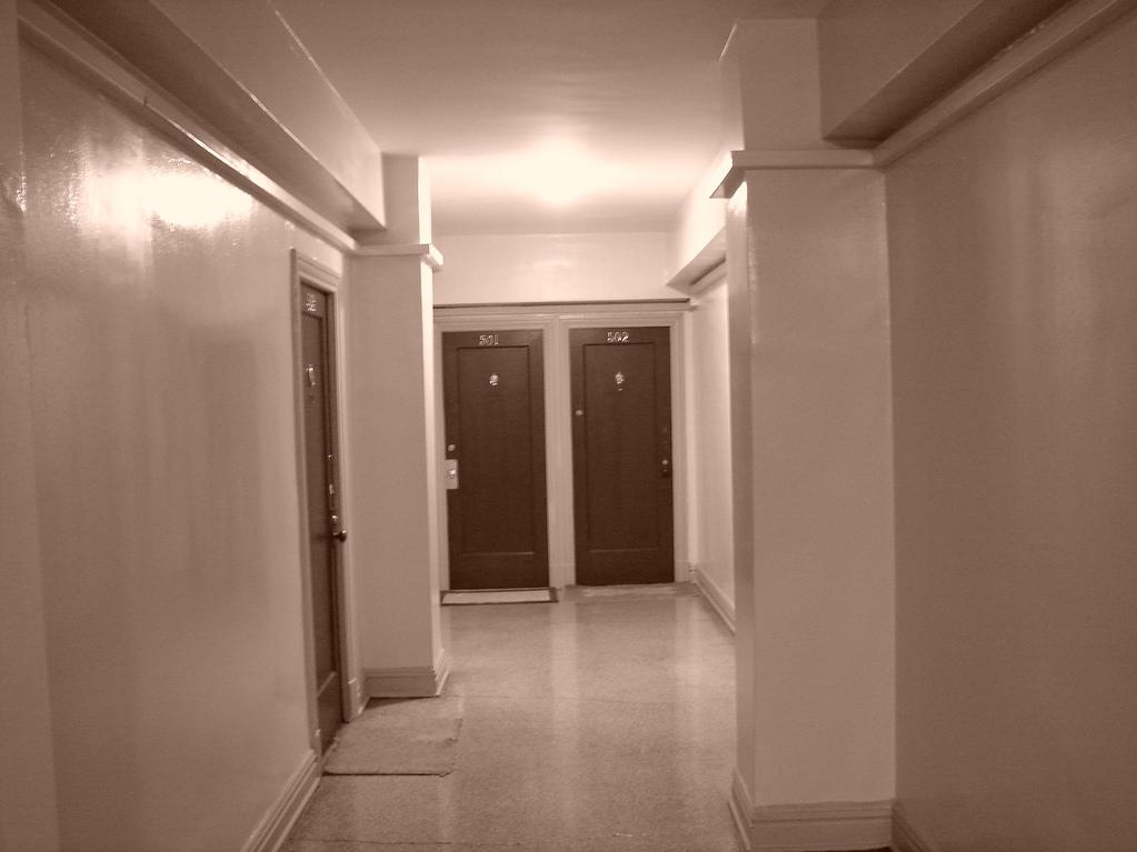 20397-1550089520906.jpg