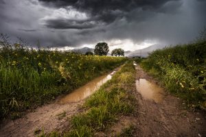 country-road-407207-300x200.jpg