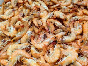 shrimp-727214-300x225.jpg
