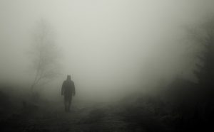 walkers-486583-300x186.jpg