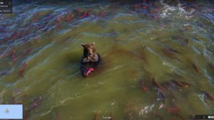 bear-catching-fish-300x169.jpg
