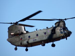 chinook-1533262-300x225.jpg