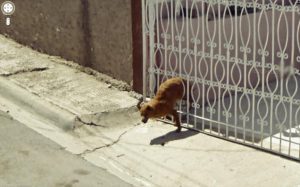 funny-google-street-view-photos-23-300x187.jpg