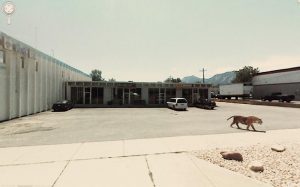 funny-google-street-view-photos-33-300x187.jpg