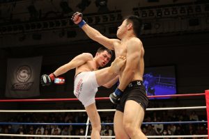 mixed-martial-arts-1314503-300x200.jpg