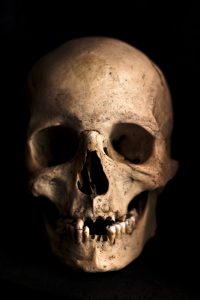 skull-765477_1920-200x300.jpg