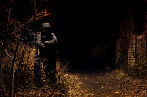 violent-3830650-300x199.jpg