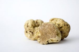 White-truffle-pic-300x200.jpg