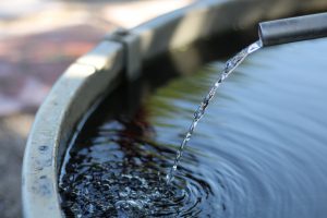 bucket-3588739-300x200.jpg