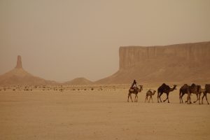 camel-train-3408458-300x200.jpg