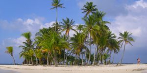islands-featured-300x150.jpg