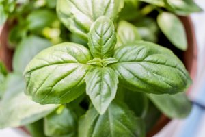 lavi-perchik-KSJm1IOKLBU-unsplash-300x200.jpg