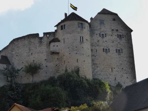 Wolfsegg_Burg_Wolfsegg-20-300x225.jpg