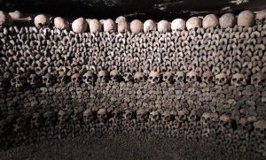 skulls-1233643_1920-300x181.jpg
