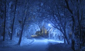 winter-69927-300x180.jpg