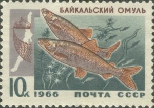 1966_CPA_3402-300x211.jpg