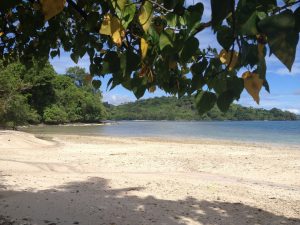 Fiji beach
