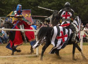 joust-4574096-300x220.jpg