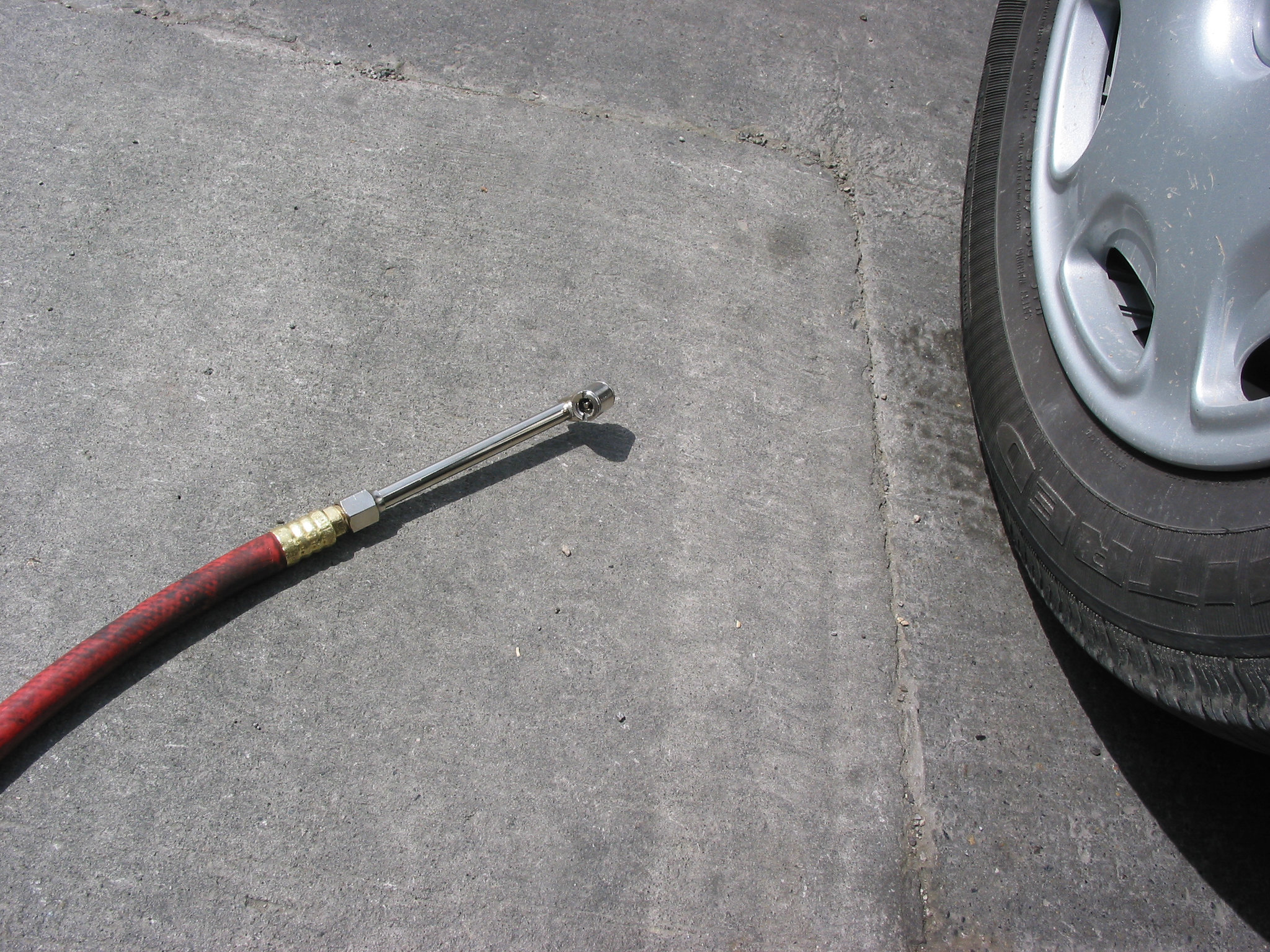 Petty Revenges facts