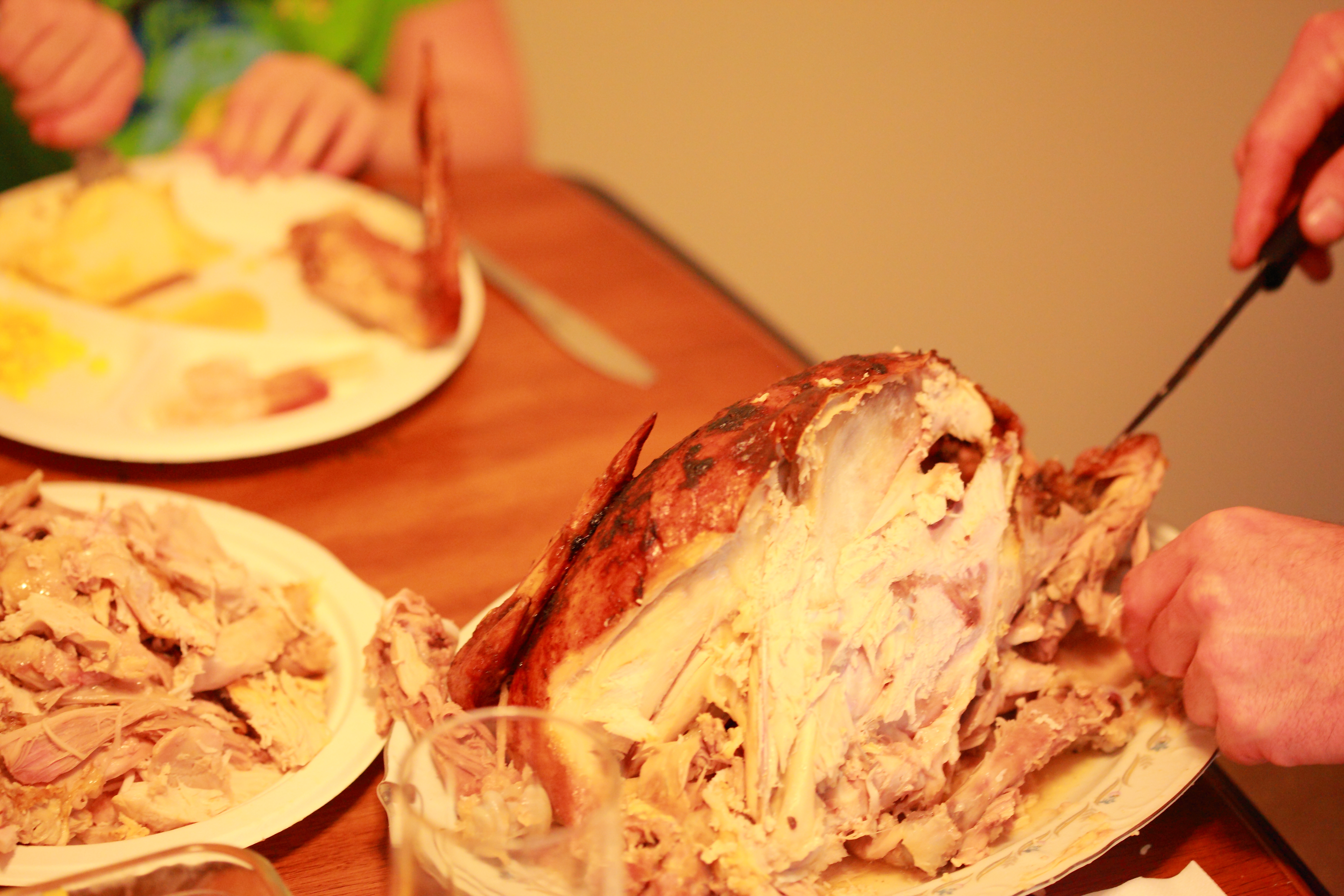 Trashiest Holiday facts