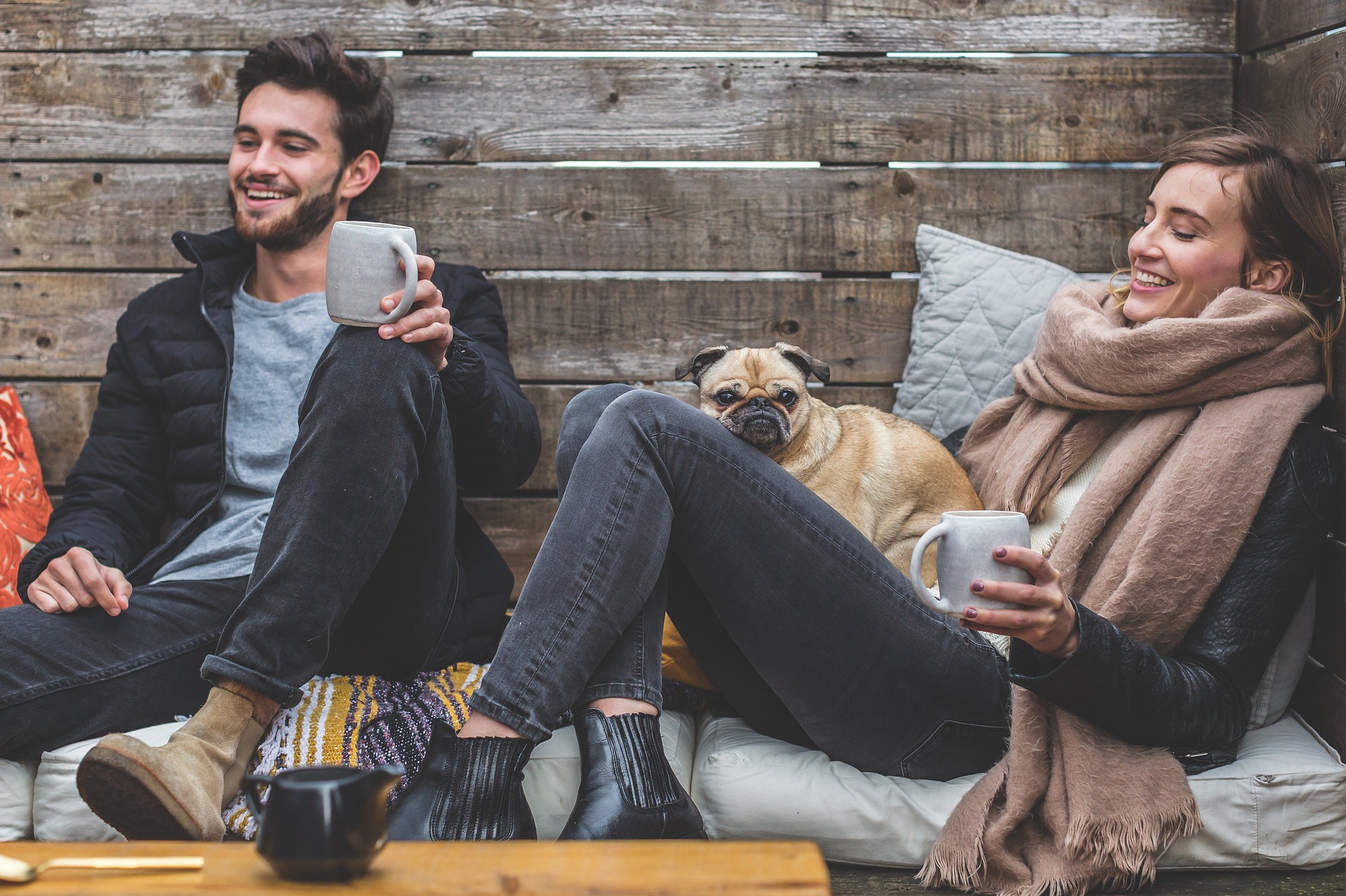 Human Attraction facts