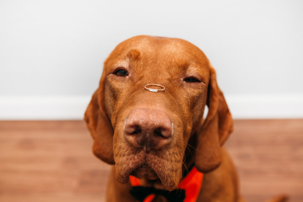 Rejected Proposals facts