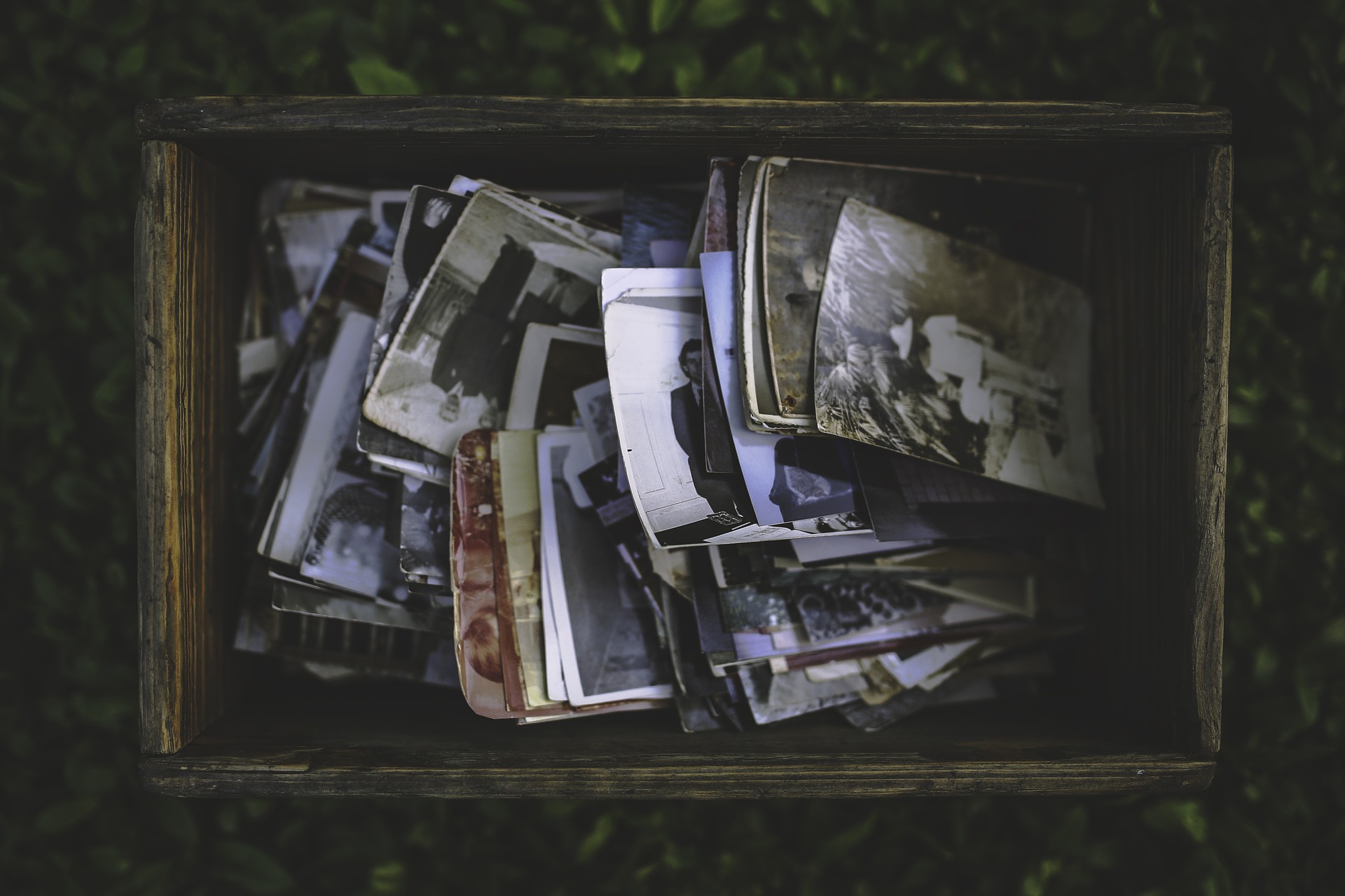 Life-Shattering Secrets facts