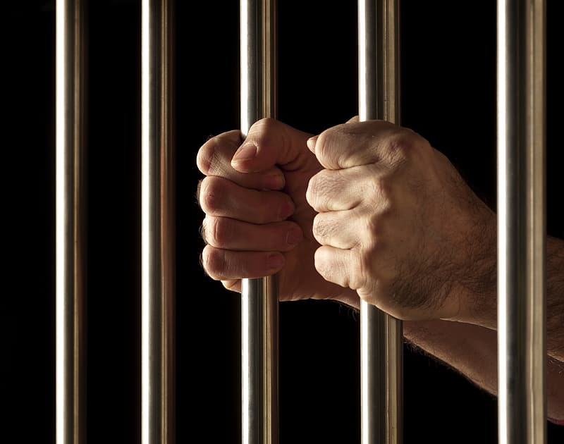 Legal Disasters Facts