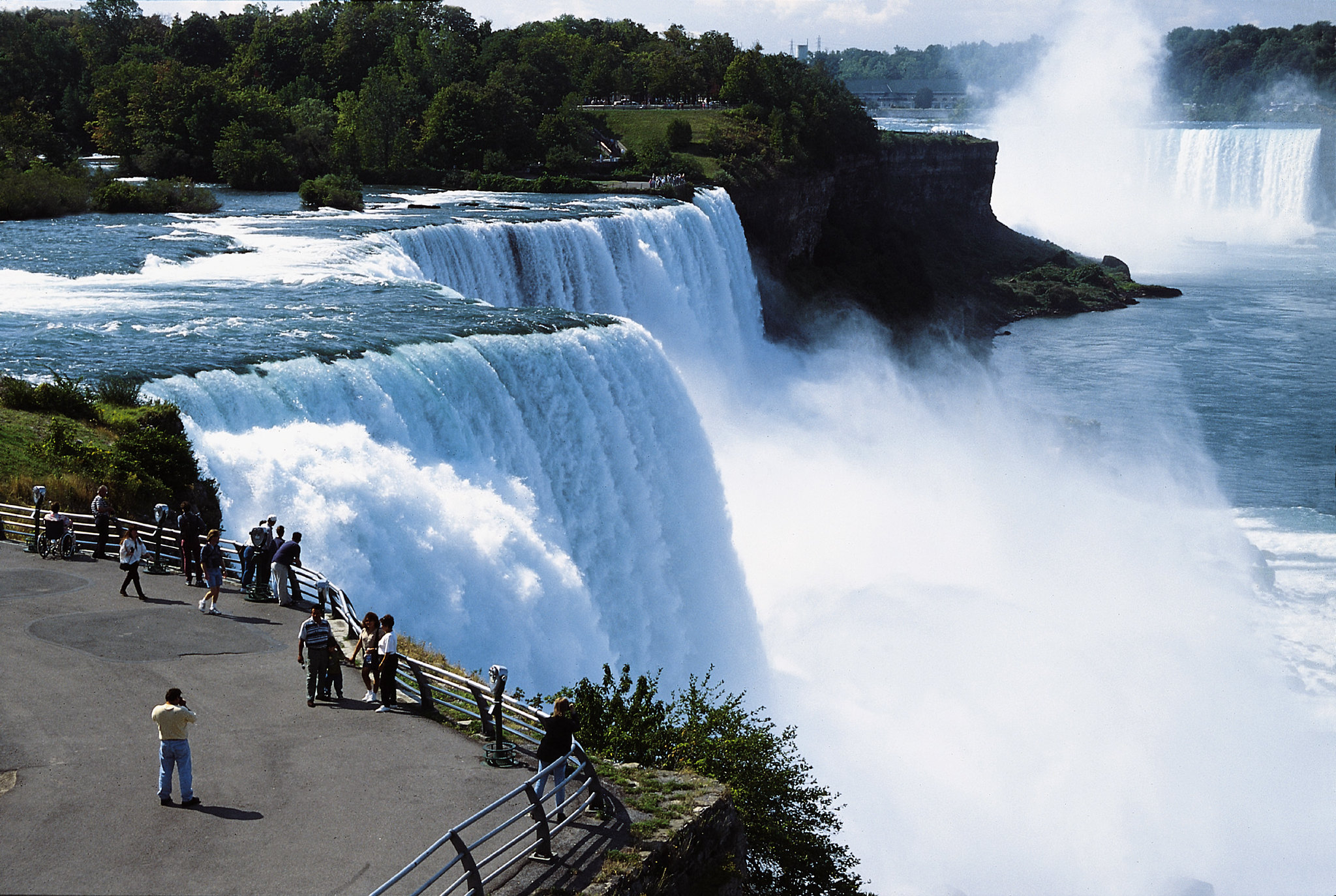 Dumb Tourist Facts