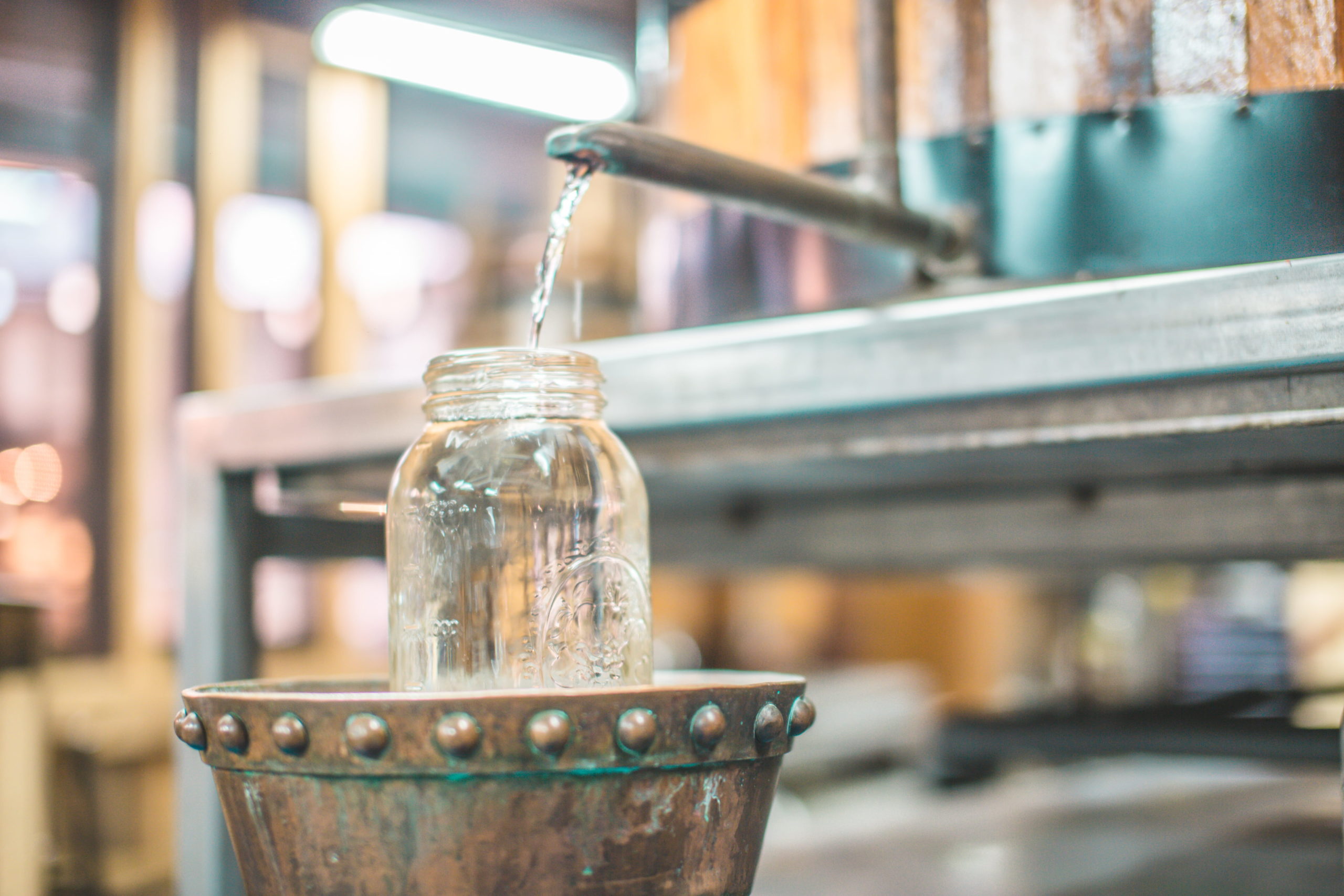 Dark Family Secrets Facts