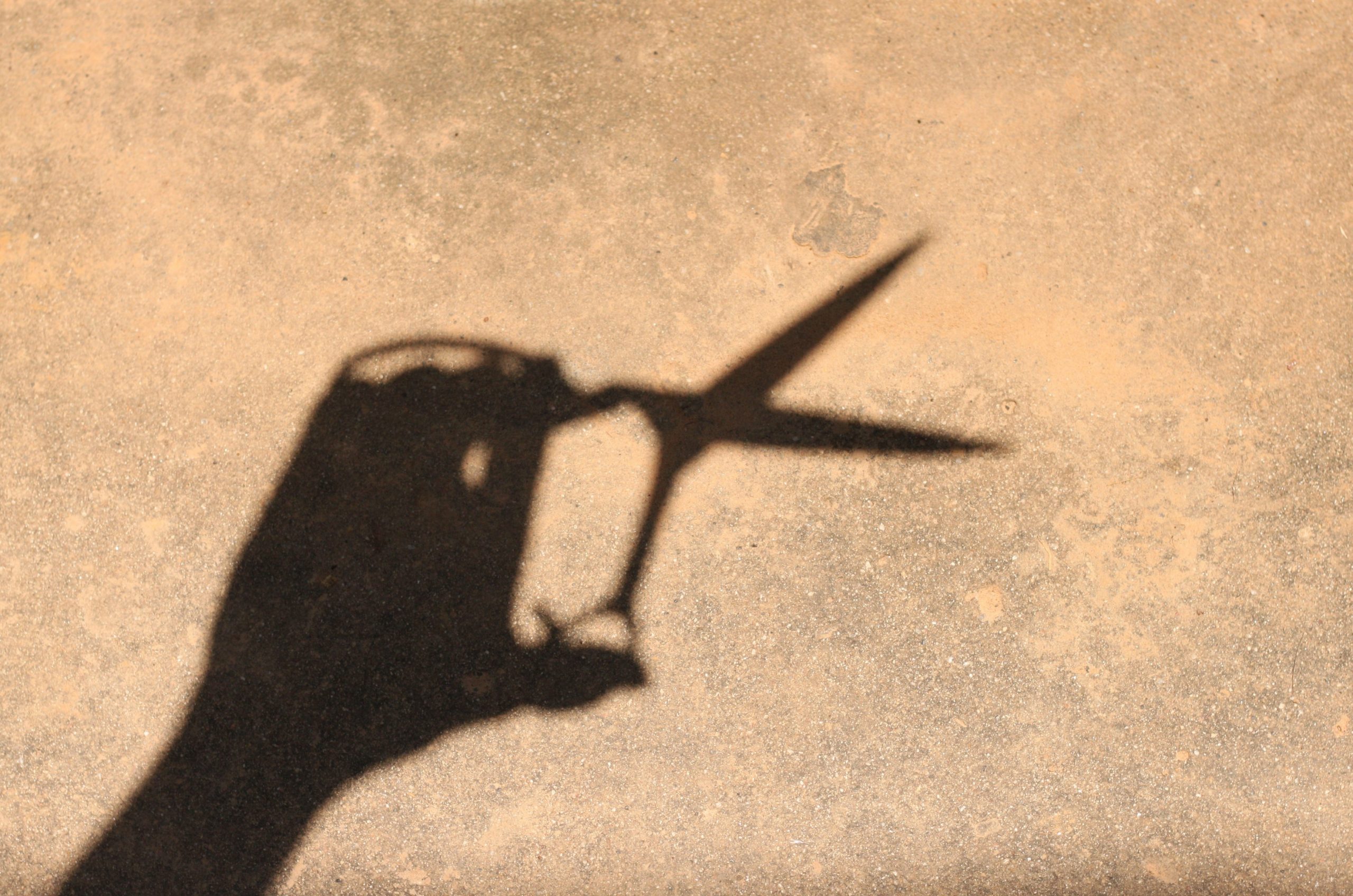 That Kid In School Facts