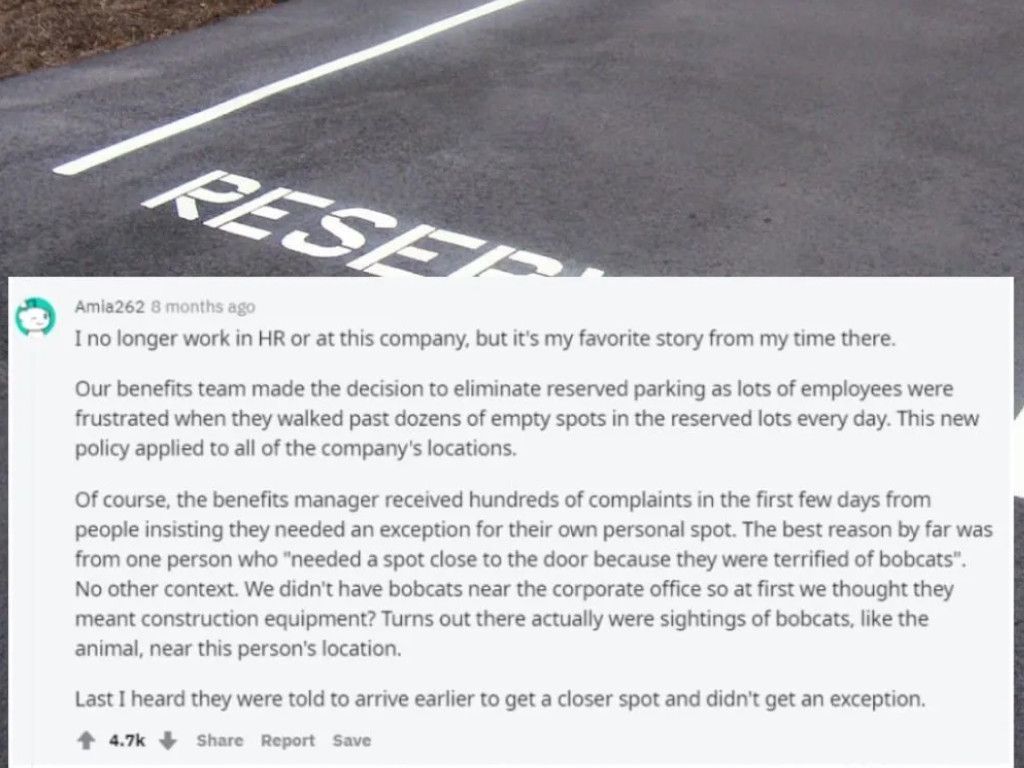 16-Hilarious-Stories-Directly-HR-Department-Reddit.jpg.optimal.jpg