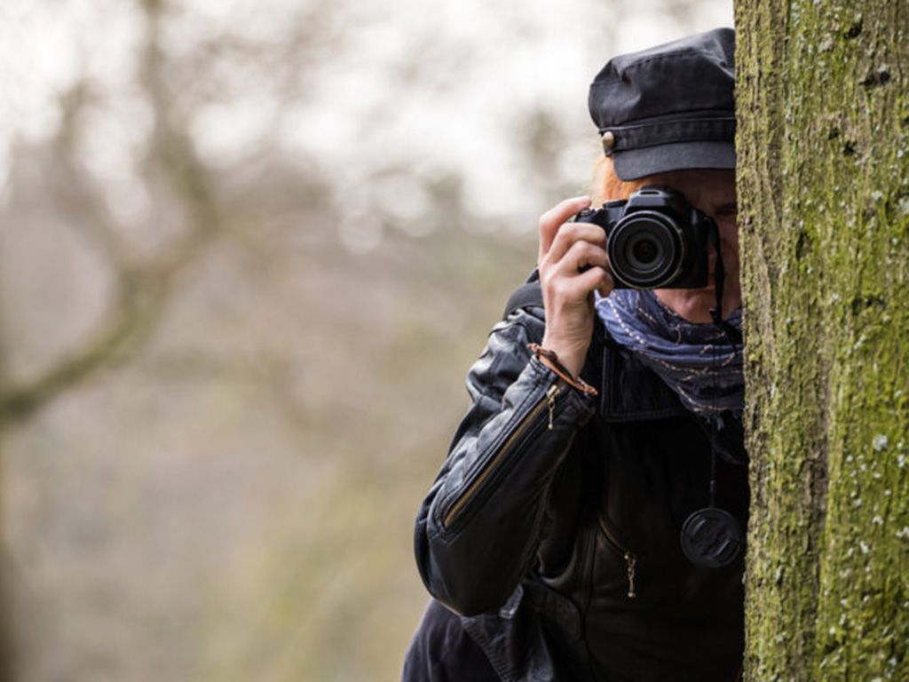 200shutterstock_400733680-768x498-1.jpg.optimal.jpg
