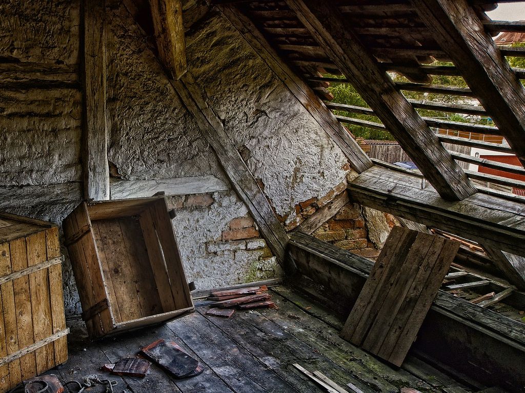 Strangest-Things-Ever-Discovered-Routine-House-Calls-02.jpg.optimal.jpg