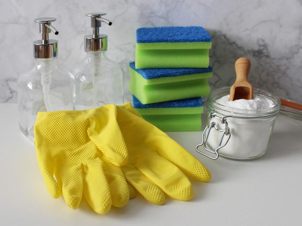 Strangest-Things-Ever-Discovered-Routine-House-Calls-10.jpg.optimal.jpg