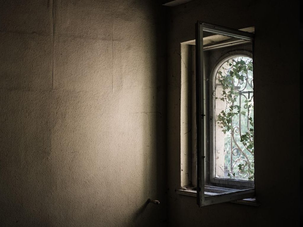 Strangest-Things-Ever-Discovered-Routine-House-Calls-32.jpg.optimal.jpg