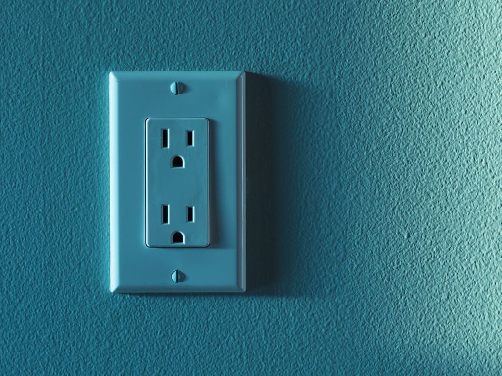 photo-1587534012737-1fd8a84b519eresize.jpg.optimal.jpg